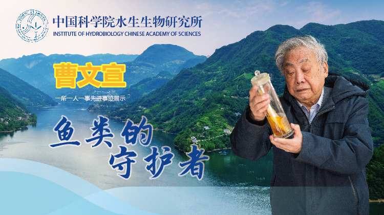 曹文宣:鱼类的守护者 曹文宣:鱼类的守护者